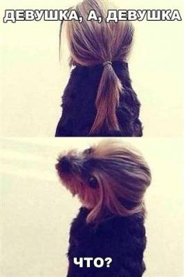 Прикрепленное изображение: imgpsh_fullsize (Mobile).jpg